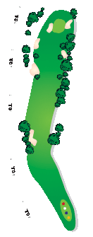 11.gif