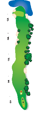 11.gif