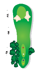 6.gif